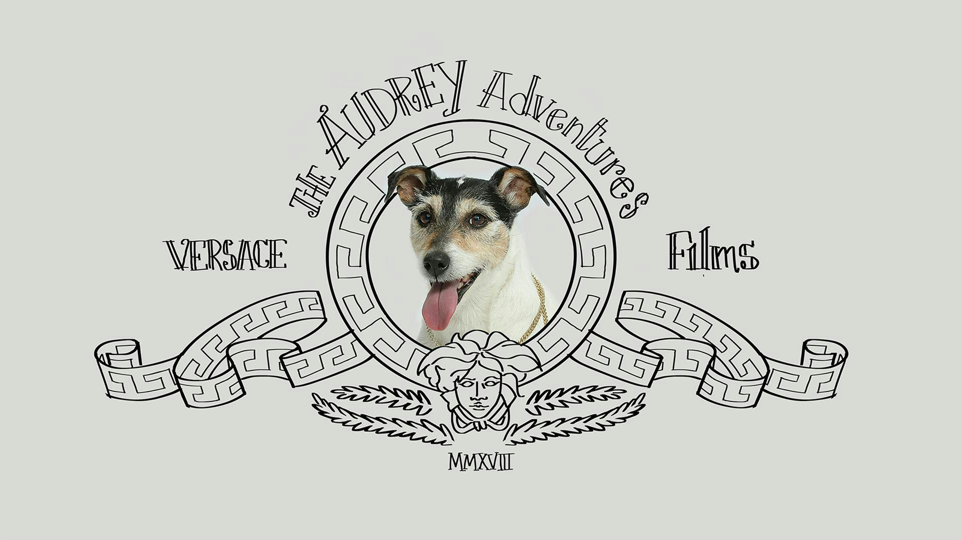 puppy mammal dog canine animal pet logo symbol trademark