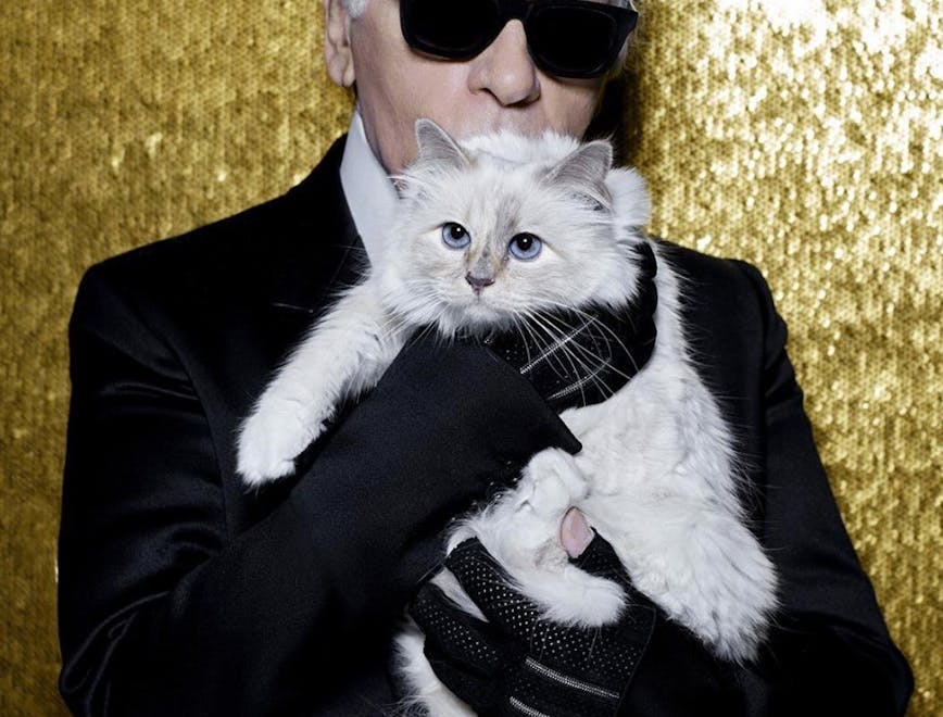 sunglasses accessories person manx mammal cat pet animal couch furniture