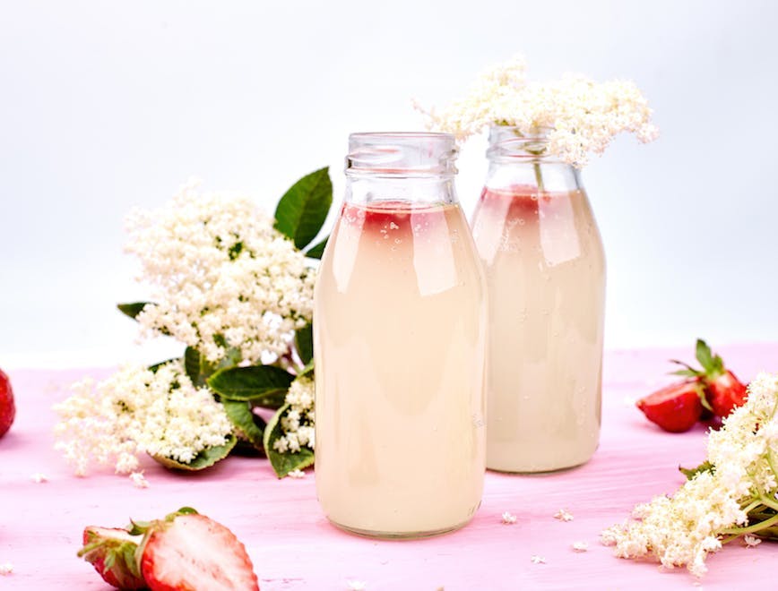 milk beverage drink plant