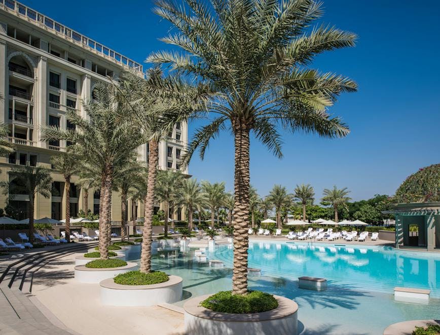 building summer hotel resort tree plant palm tree arecaceae