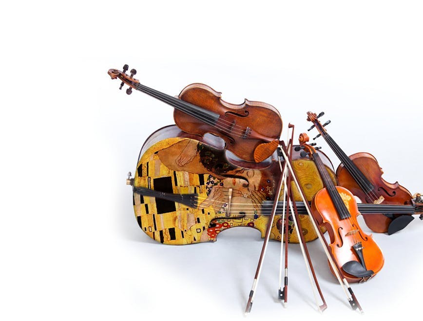 leisure activities violin fiddle viola musical instrument