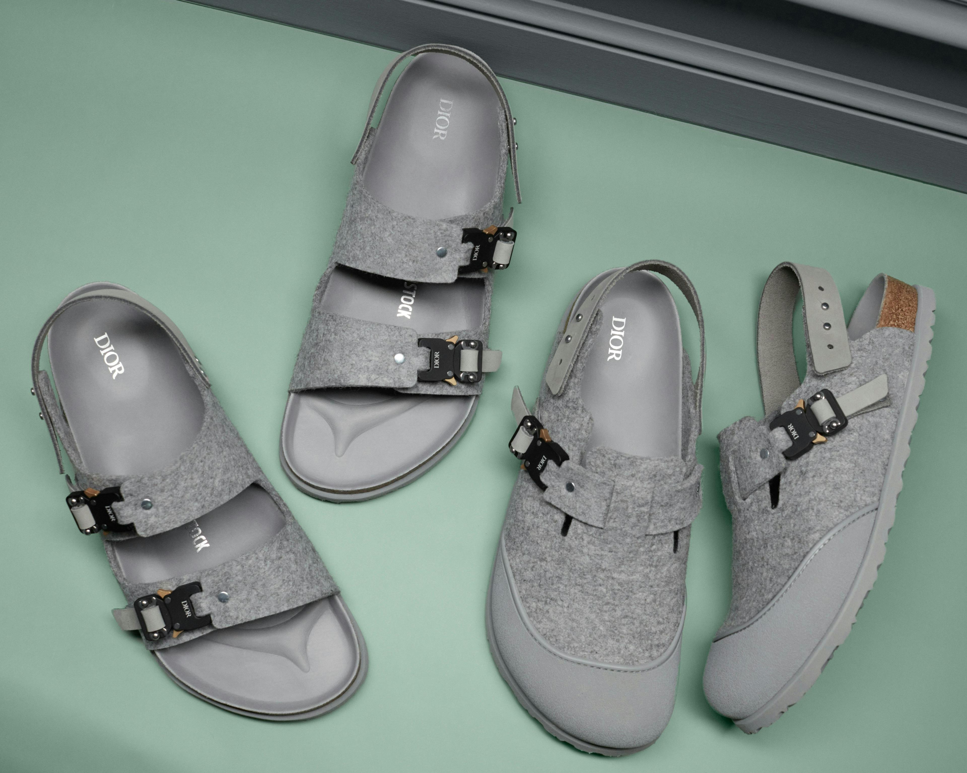 clothing apparel shoe footwear sandal