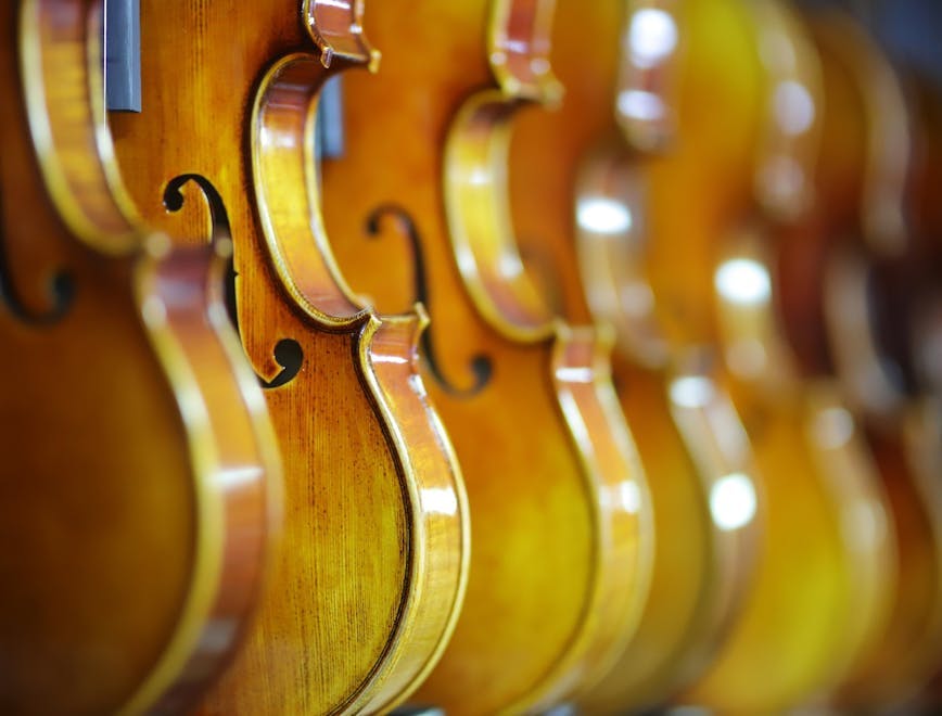 musical instrument cello violin