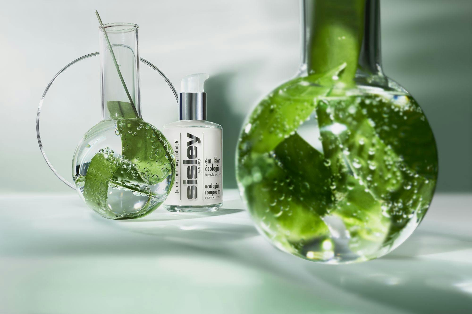 bottle cosmetics perfume glass herbs plant