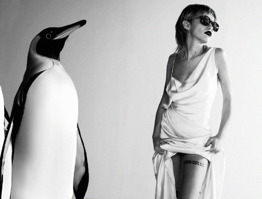 animal bird penguin adult female person woman accessories sunglasses face