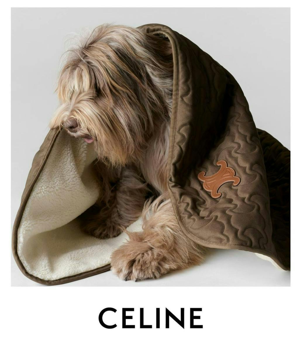 Celine Dog Accessories Collection - Calfskin leather shawl and case € 1,200 (Courtesy of Celine)