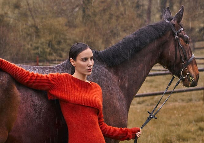 clothing knitwear sweater animal horse mammal colt horse coat