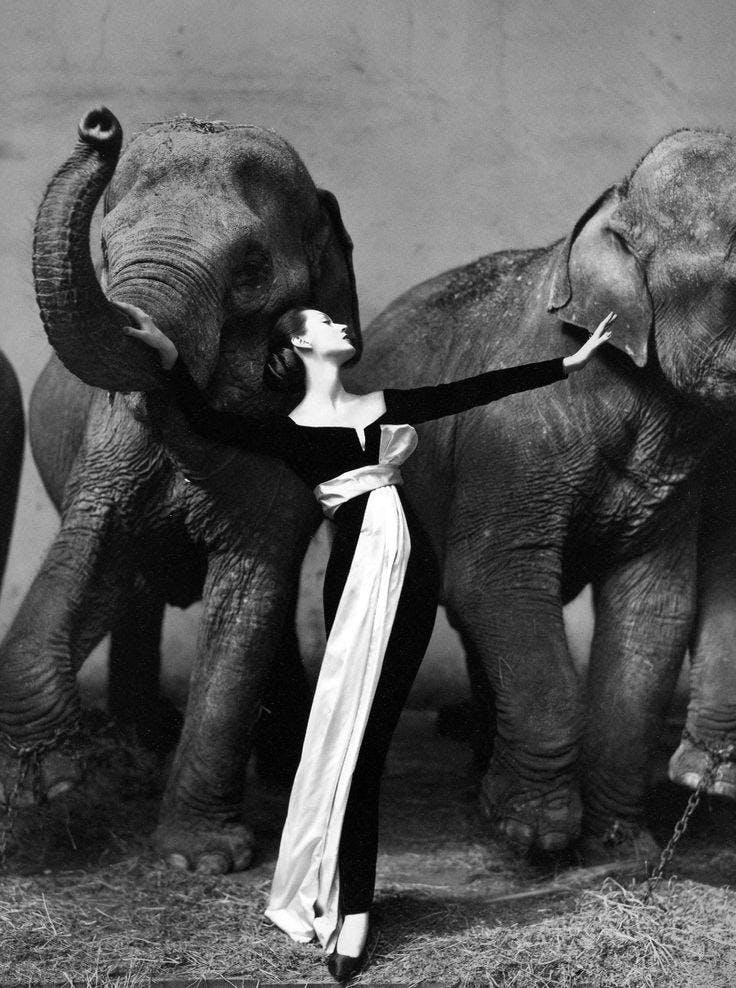 Dovima with elephants, evening dress by Dior, Cirque d’Hiver, Paris, August 1955. © The Richard Avedon Foundation Courtesy Gagosian
