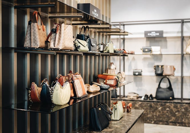 accessories bag handbag purse indoors clothing footwear shoe